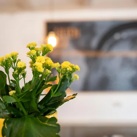 Hotel Lilienhof 3*